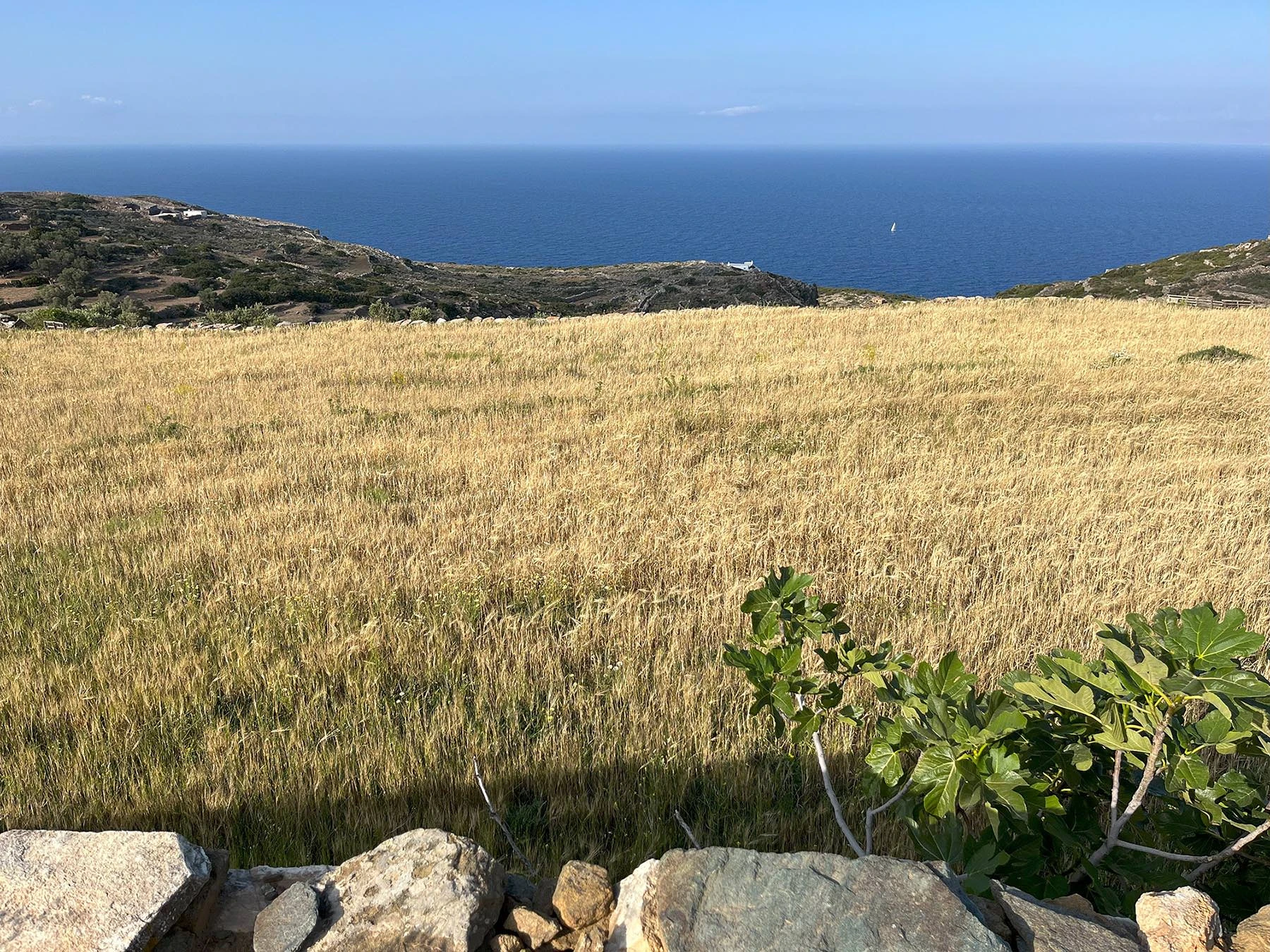 The Wheatfield House Sifnos